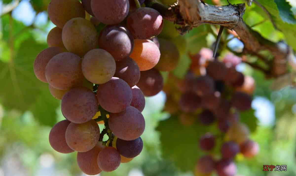 风水堂：梦见什么意思梦见被强奸