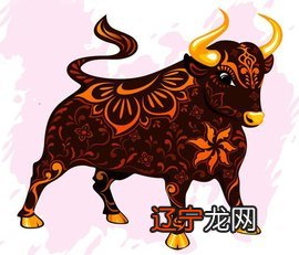 组图 2021年属牛宝宝男孩男孩女孩女孩小名赏析