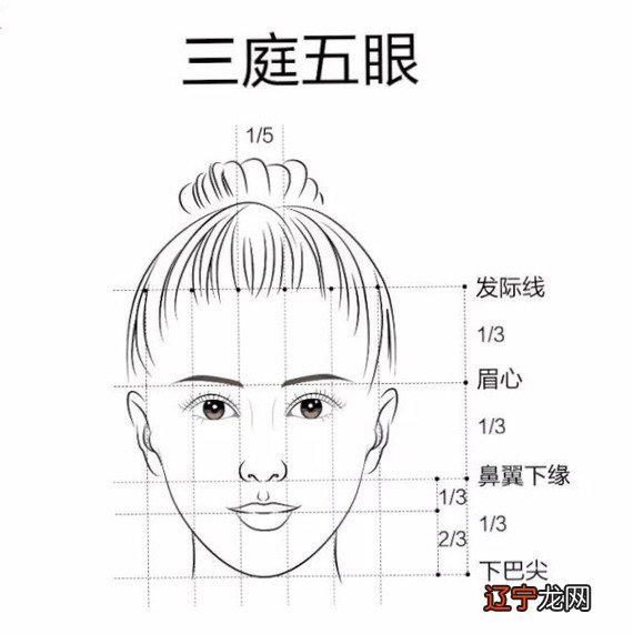 一起到相术大全中可以关于麻衣相法的解析!!