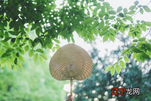 立夏挂蛋是什么意思?2022年创业者新机遇,乡村振兴大潮催生的土地创业好项目