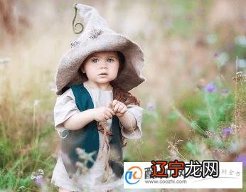 组图 一下刘姓男孩取名鸡年100分一些相关信息汇总