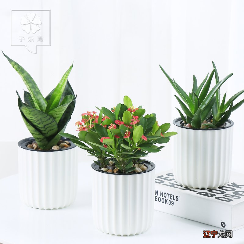 组图 你家客厅风水转运聚财摆件能助你财源广进哦！