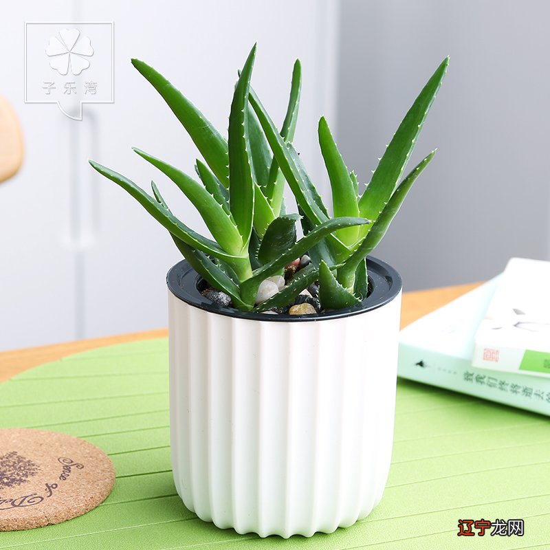 组图 你家客厅风水转运聚财摆件能助你财源广进哦！