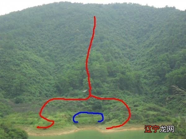 命理八字_新派八字命理课堂命理_八字命理一定准确吗