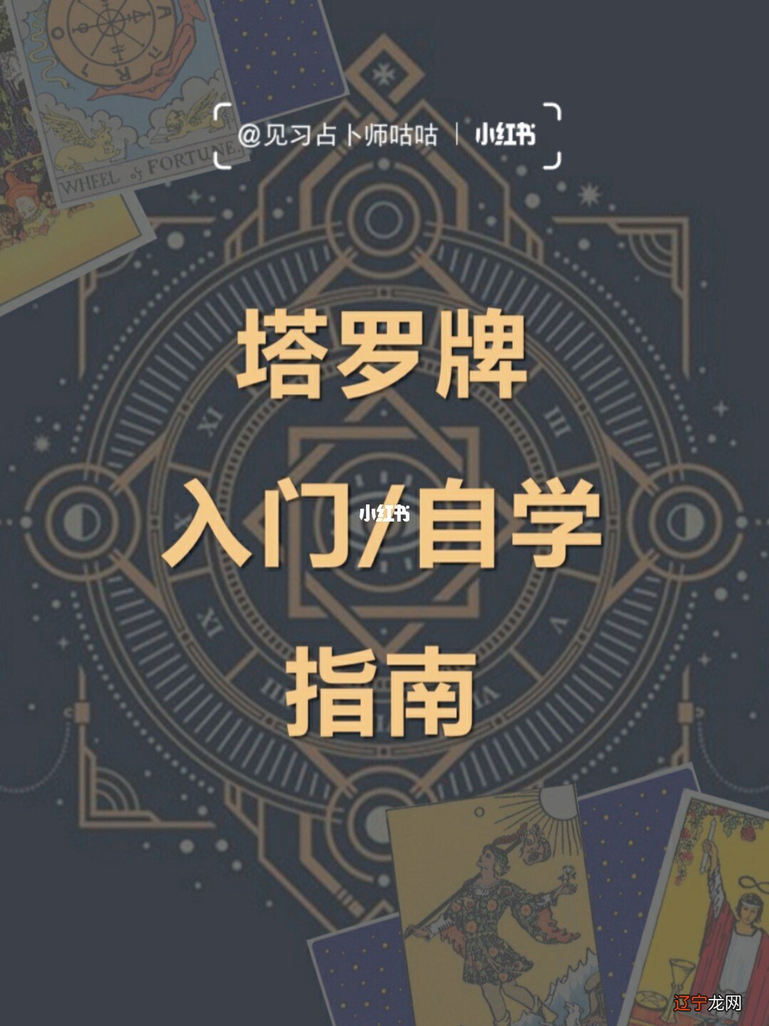 术数入门应该看哪些书_大学生应该看哪些书_ps基础入门应该看什么书