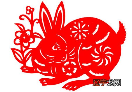 属兔人2017年鸡年运程及破解方法!!