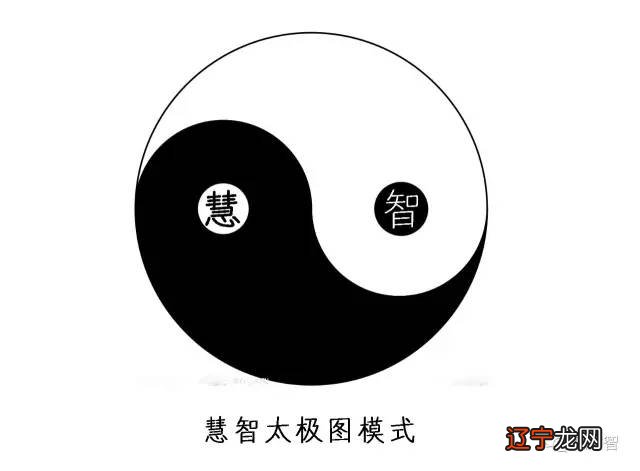 《黄帝内经》——法于阴阳，和于术数主持人