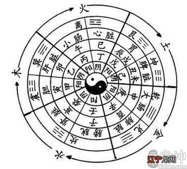 八字五行土旺的人五行：土土木水金怎么看啊