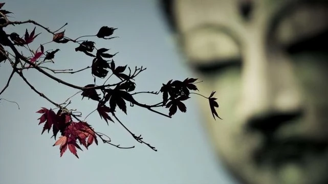 每天耕耘最有趣、最实用的心理学“识人相人”