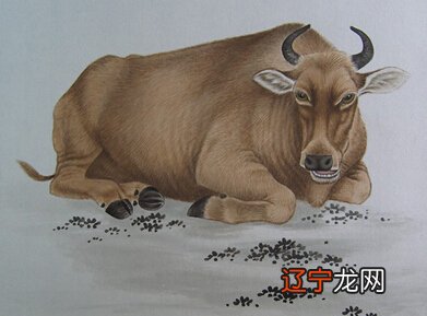 组图 有关1961年属什么生肖——日期划分