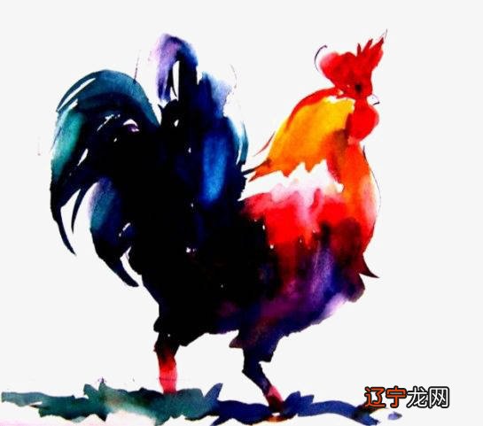 93年属鸡的男性和什么属相最配,你知道吗