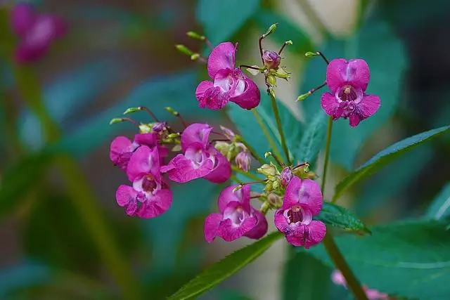 双子座在2022年开始走大运的星座作为风象星座