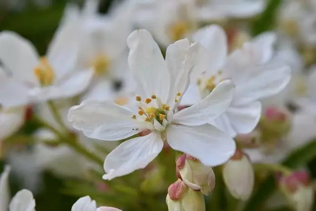 双子座在2022年开始走大运的星座作为风象星座