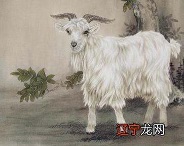 2018年9月属羊人运势怎么样,财运怎么样的生肖