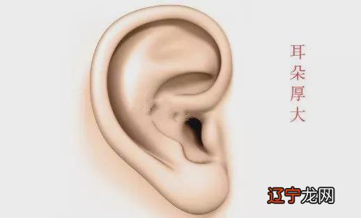 耳朵有痣代表着什么,在面相学中耳朵上算命图解