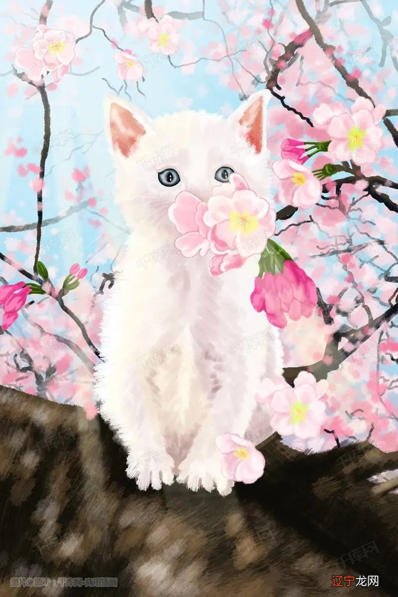 2021年金牛座桃花运,异性缘爆棚,身边烂桃花居多