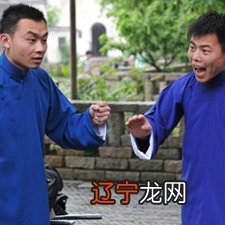 己巳大林木命人的八字命理状况及命理吉凶性质