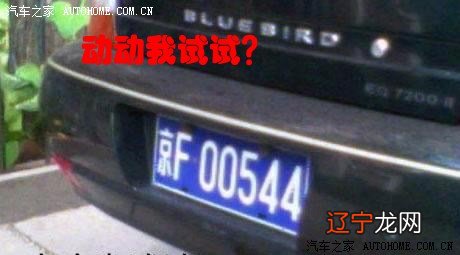 深圳车牌摇号公众号_怎么看车牌限号不限号啊_车牌号占卜