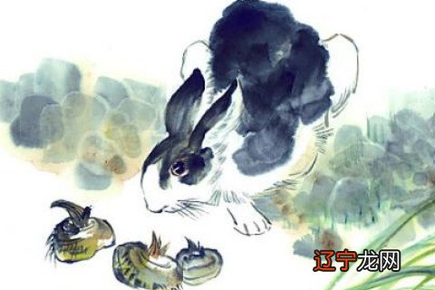 1987年属兔男性2025年运势33岁有几个转折