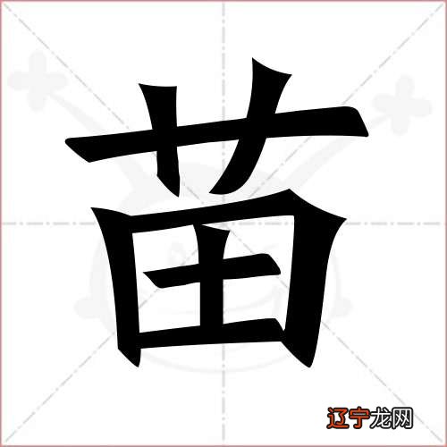 绍字辈男孩起名