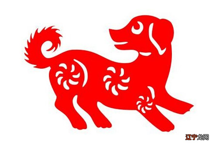 1994年的人属于什么五行属狗出生的称为木狗