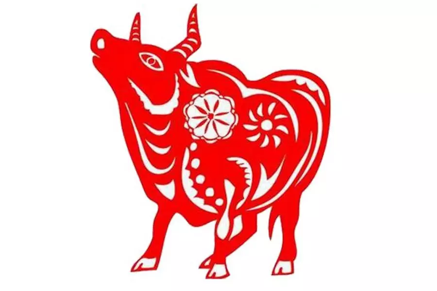 鸡男和牛女婚配财运好吗?属牛相配吗