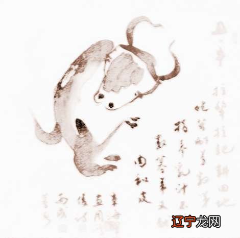 属牛的贵人属相是什么