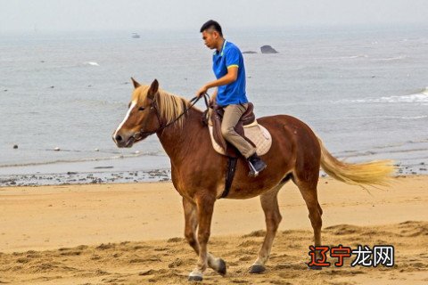 周公解梦：梦见骑马是什么意思和预兆进行详细解说