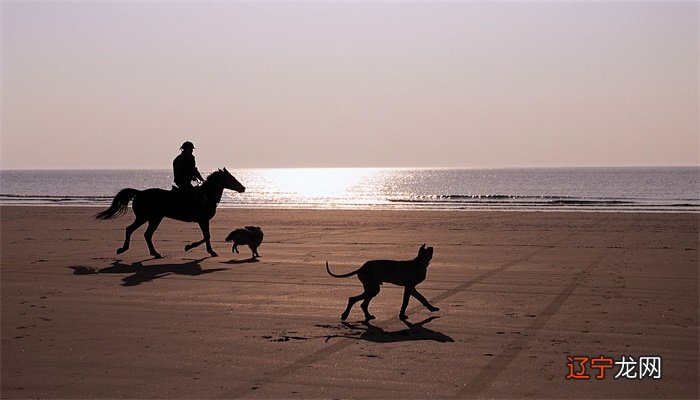 周公解梦：梦见骑马是什么意思和预兆进行详细解说