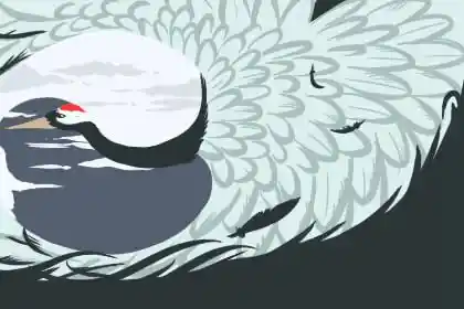 想学风水堂:想学看什么书比较好