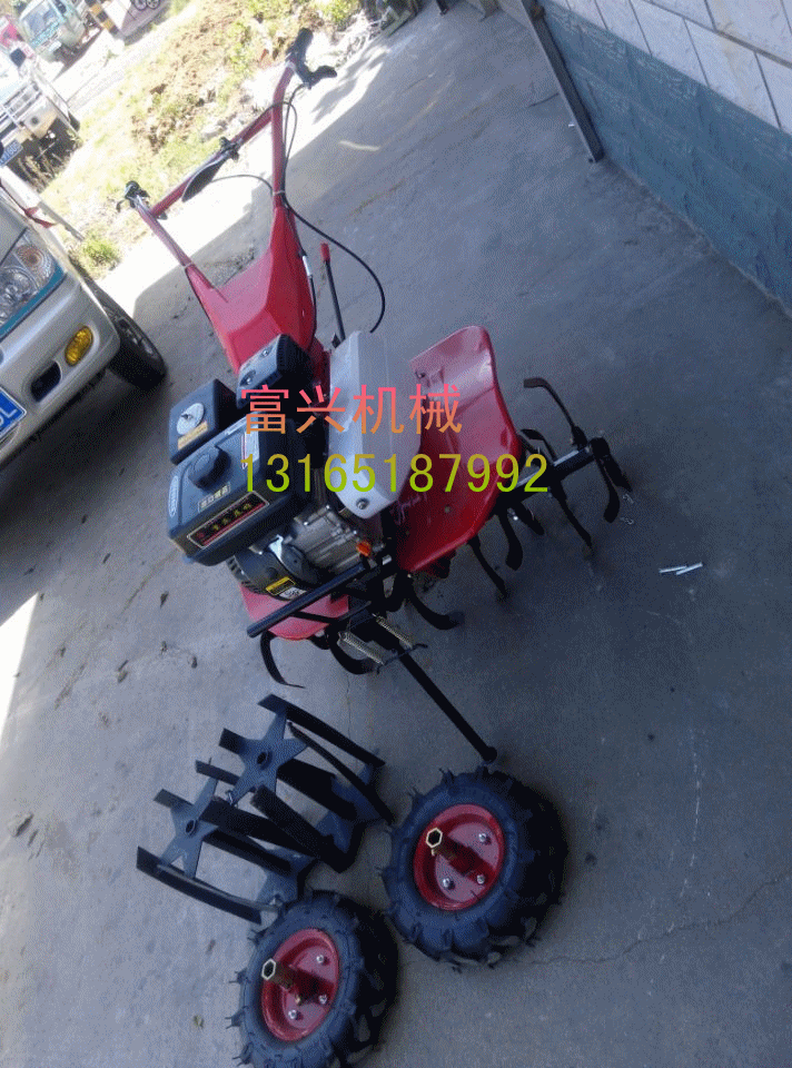 盲派要与丑合,但未来冲丑,则子未相穿