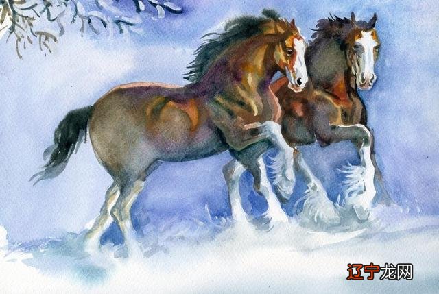 属羊的男子与什么属相的女子相配最好，你知道吗