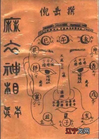 近期感情运势塔罗占卜:年属牛的人年运程大全及破解