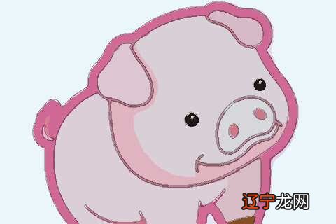 1995年属猪人2022年结婚好吗？26岁可以结婚吗？