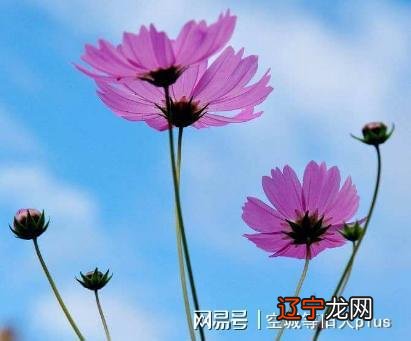 不要风水堂:不要一味乐观或者一味悲观