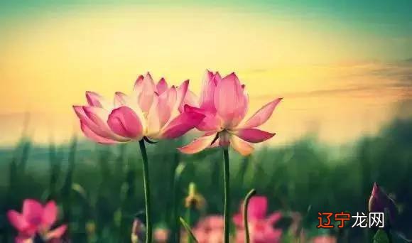 看一个人最近运势不好