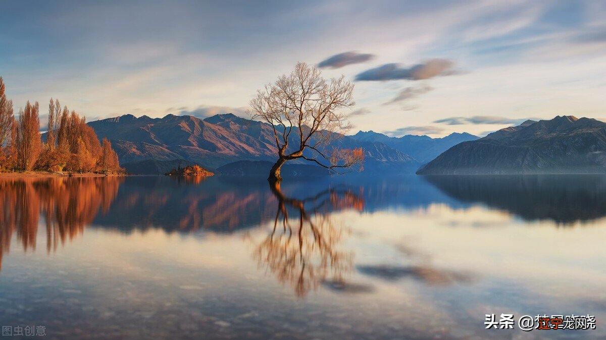 巨蟹座、天蝎座、双鱼座分别是如何体现的呢的？