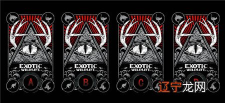 塔罗牌占卜你的暧昧对象对你算是真心的是什么心