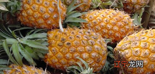 周公解梦:梦见自己吃菠萝或请别人吃的解释