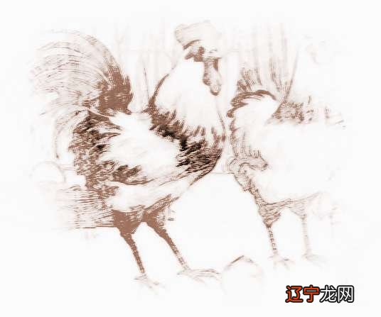 好不好风水堂：2017年生肖鸡的流月运势预测