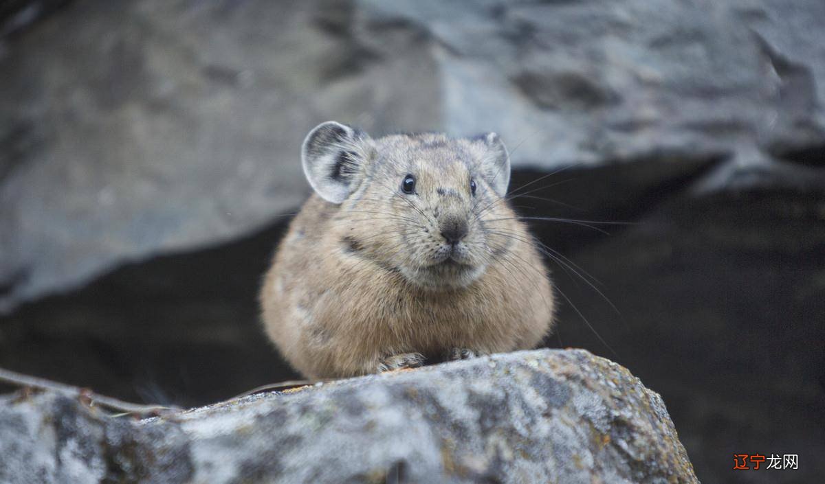 风水堂:八字原理是共通的,写随笔