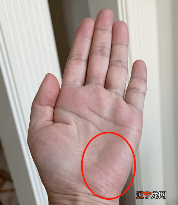 中医看手相靠谱吗中医怎么看手相全面分析手纹祥安阁风水