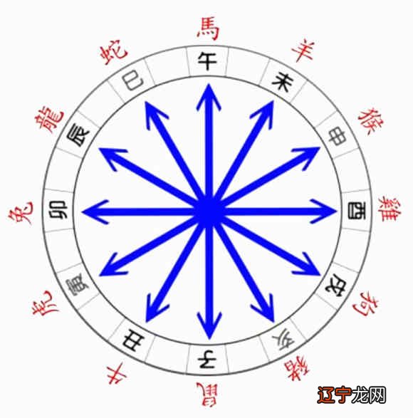 八字命理专业预测_八字命理预测学_新派八字命理课堂命理