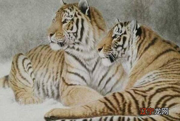 2022年属虎各出生年份预测1-3月23日