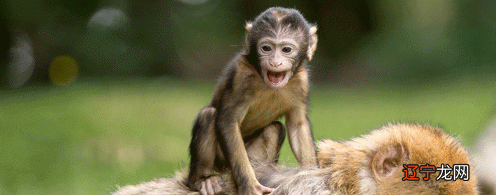 风水堂:黄道12星座的性格与作用