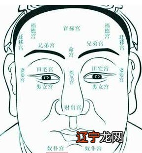 加可风水堂:加可索取PDF高清书籍!