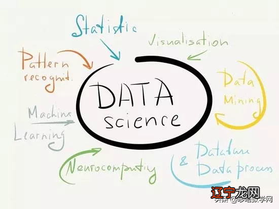 数据科学入门数学指南:深入探讨每种算法需要多少数学知识?