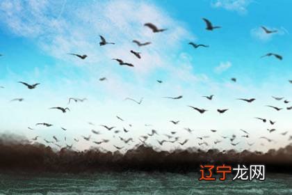 【李向东】魏晋时期的主要哲学思潮,是一种东方哲学的思维方法