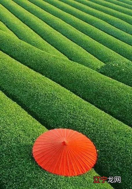 房子建在山顶风水好吗,看农村自建房的风水禁忌