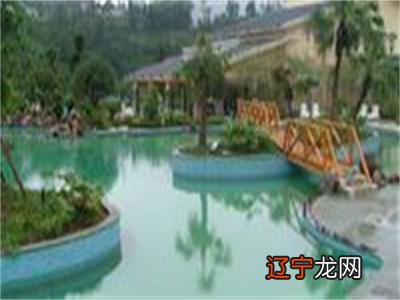 “天府三九大·走四川”2020天府旅游名县组团推介会首战走进重庆